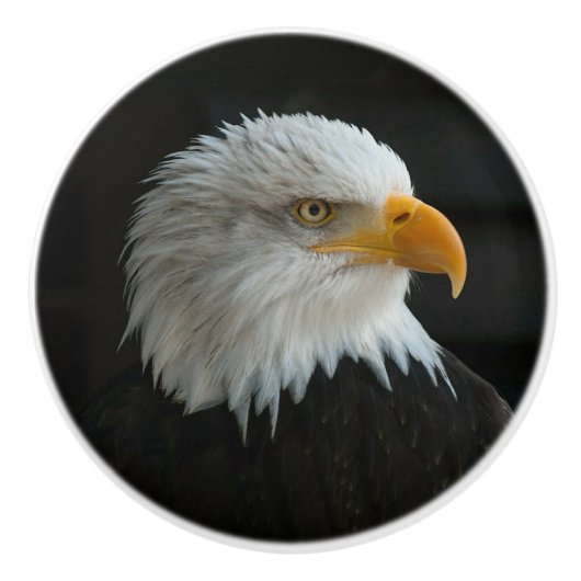 自分の写真または文字の追加 セラミックノブ (正面)