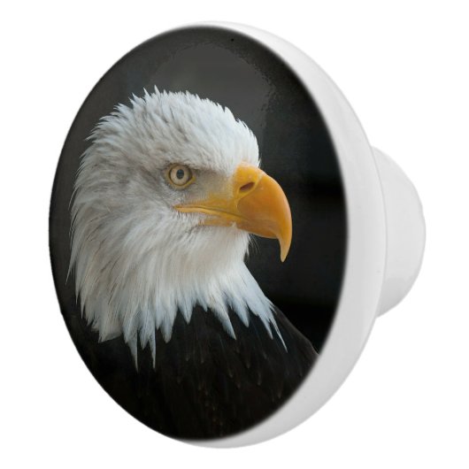 自分の写真または文字の追加 セラミックノブ (右)