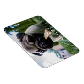 自分の写真をおもしろい作成カスタムする マグネット (右側)