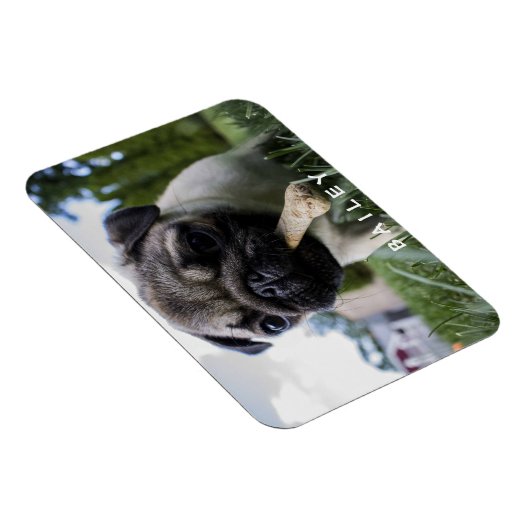 自分の写真をおもしろい作成カスタムする マグネット (右側)