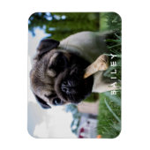 自分の写真をおもしろい作成カスタムする マグネット (縦)