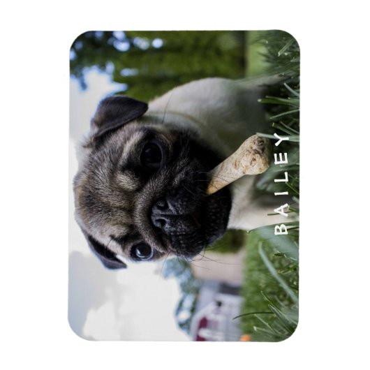 自分の写真をおもしろい作成カスタムする マグネット (縦)