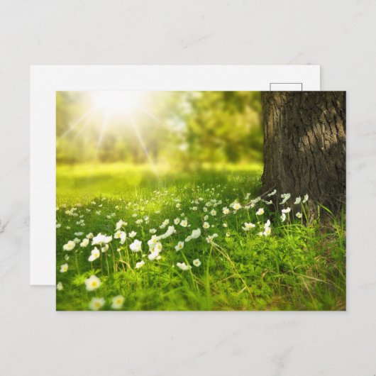 自分の写真をカスタム作成パーソナライズされたする ポストカード (正面/裏面)