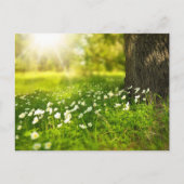 自分の写真をカスタム作成パーソナライズされたする ポストカード (正面)