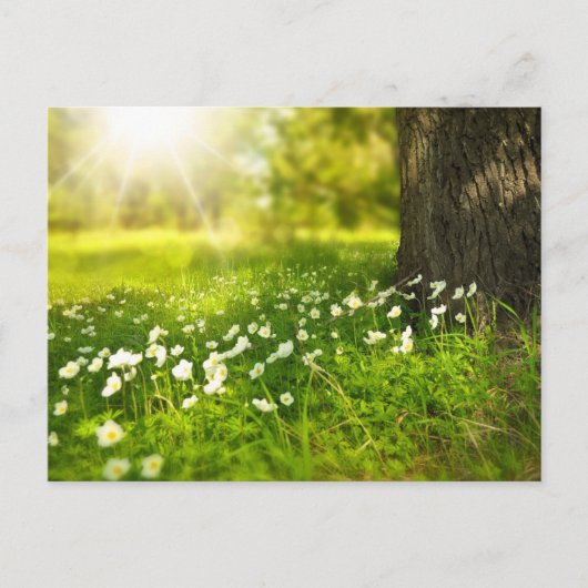 自分の写真をカスタム作成パーソナライズされたする ポストカード (正面)