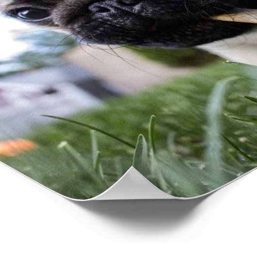 自分の写真をカスタム作成 ポスター (角)