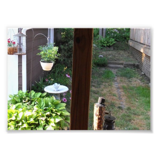 自分の写真をプリント フォトプリント            (正面)