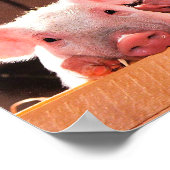 自分の写真を作おもしろい成する愛のカスタム ポスター (角)