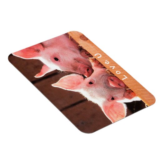 自分の写真を作おもしろい成する愛のカスタム マグネット (右側)