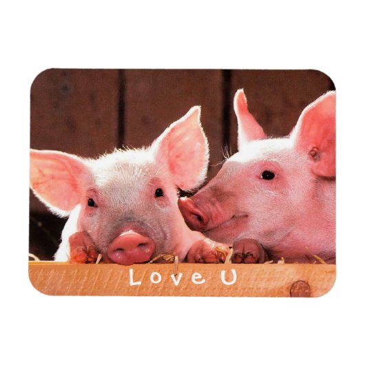 自分の写真を作おもしろい成する愛のカスタム マグネット (横)