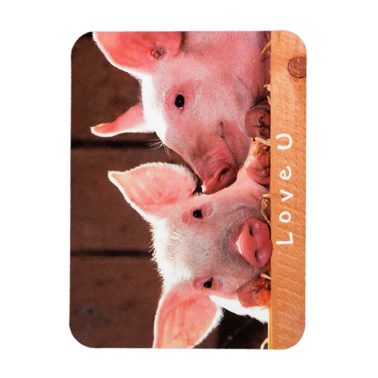 自分の写真を作おもしろい成する愛のカスタム マグネット (縦)