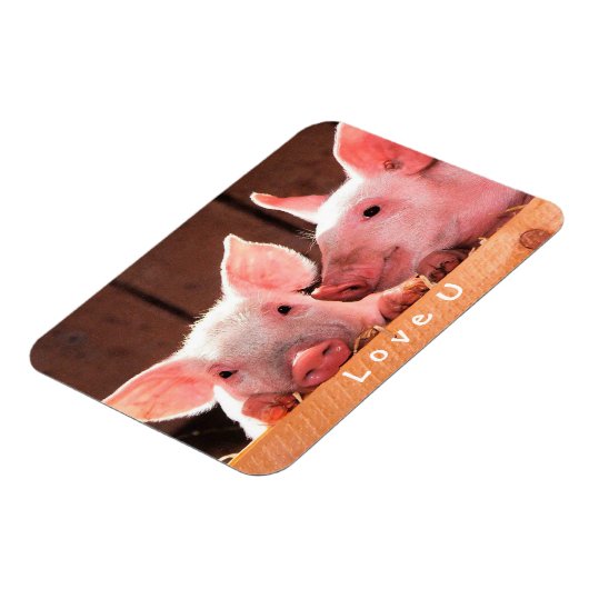 自分の写真を作おもしろい成する愛のカスタム マグネット (左側)