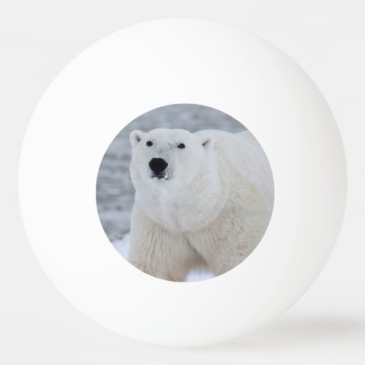 自分の写真を作パーソナライズされた成 卓球ボール (正面)