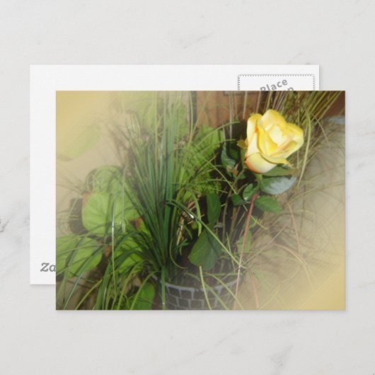 自分の写真を作成する ポストカード (正面/裏面)