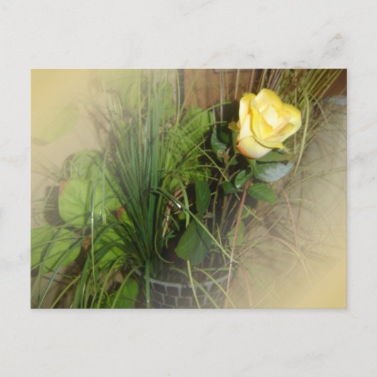 自分の写真を作成する ポストカード (正面)