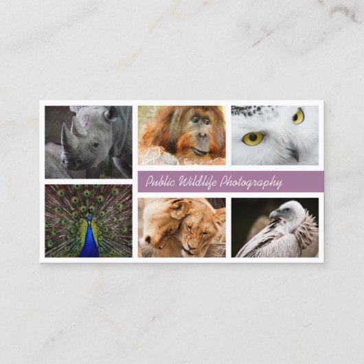 自分の写真を使う 名刺 (正面)