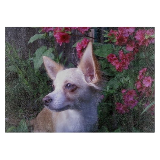 「自分の写真を追加」ガラス切断板 カッティングボード (正面)