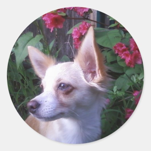 「自分の写真を追加」ステッカー ラウンドシール (正面)