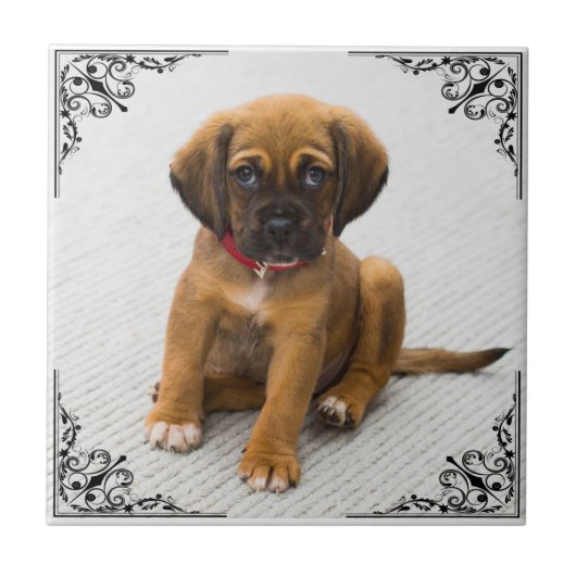 自分の写真を追加 タイル (正面)