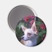 「自分の写真を追加」マグネット マグネット (正面/裏面)