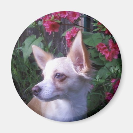 「自分の写真を追加」マグネット マグネット (正面)