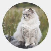 自分の写真カスタムをペットの猫犬の動物にする ラウンドシール (正面)