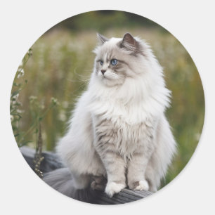 自分の写真カスタムをペットの猫犬の動物にする ラウンドシール