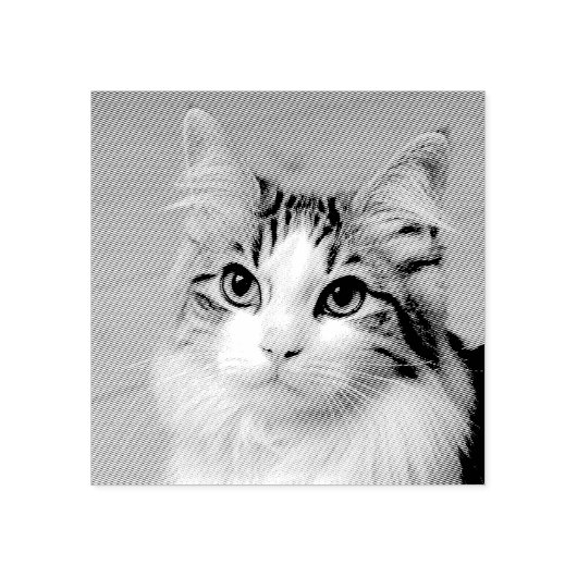 自分の写真カスタムをペットの猫犬の動物にする ラバースタンプ (インプリント)