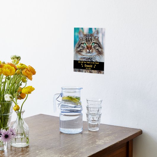 自分の写真カスタムを追加ペット猫記念碑8x10 箔ポスター (レイダウン (キッチン))