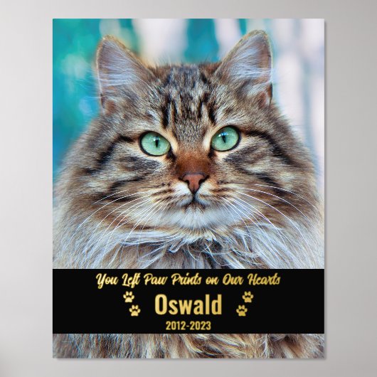 自分の写真カスタムを追加ペット猫記念碑8x10 箔ポスター (正面)