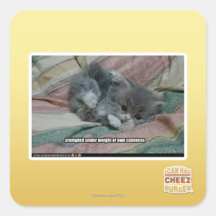 自分の可憐さの重み スクエアシール