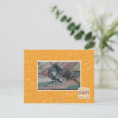 自分の可憐さの重み ポストカード (スタンド正面)