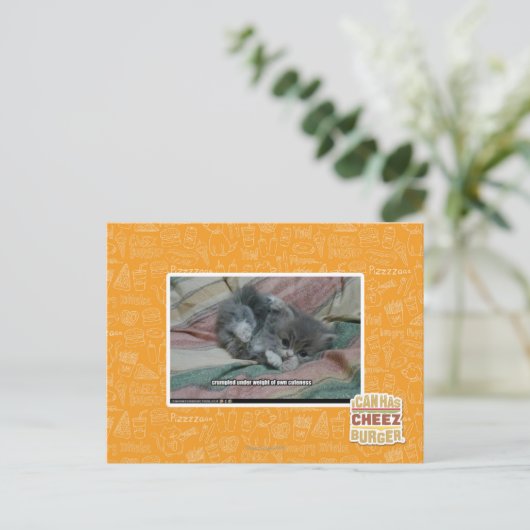 自分の可憐さの重み ポストカード (スタンド正面)