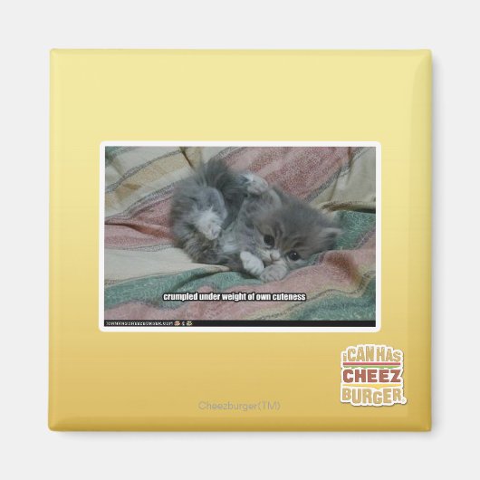 自分の可憐さの重み マグネット (正面)