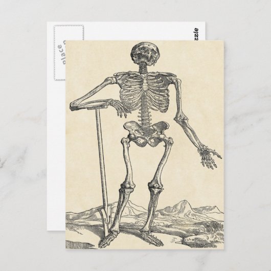 自分の墓紙はがきを掘った ポストカード (正面/裏面)