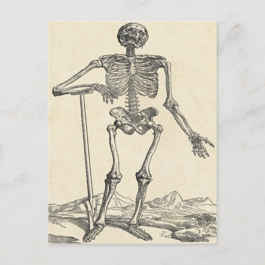 自分の墓紙はがきを掘った ポストカード (正面)