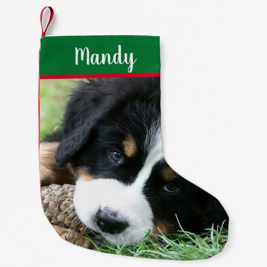 自分の完全な写真犬のクリスマスを作成 スモールクリスマスストッキング (正面)