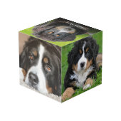 自分の家族のペットの写真コラージモノグラムを作成 フォトキューブ (裏面アングル)