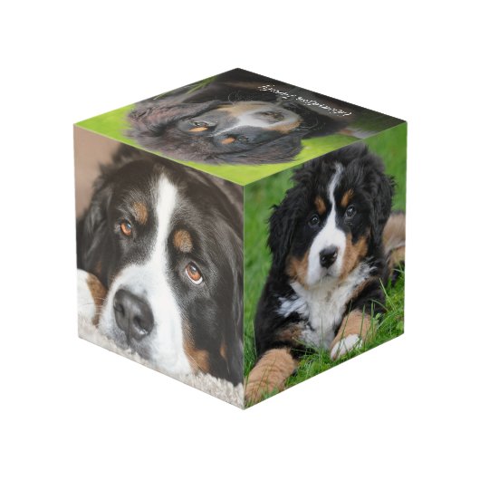 自分の家族のペットの写真コラージモノグラムを作成 フォトキューブ (裏面アングル)