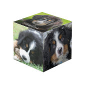 自分の家族のペットの写真コラージモノグラムを作成 フォトキューブ (正面アングル)