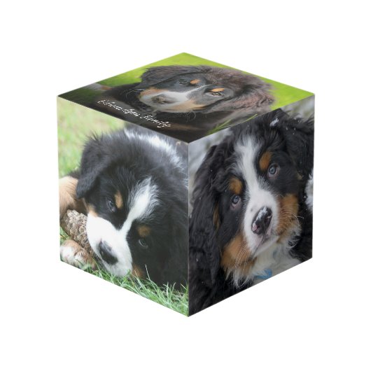 自分の家族のペットの写真コラージモノグラムを作成 フォトキューブ (正面アングル)