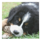 自分の家族のペットの写真コラージモノグラムを作成 フォトキューブ (正面)