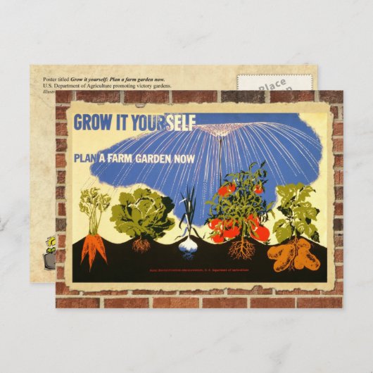 自分の庭を育てる – ポスター(ヴィンテージ再印刷) ポストカード (正面/裏面)