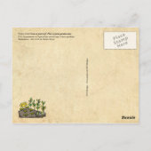 自分の庭を育てる – ポスター(ヴィンテージ再印刷) ポストカード (裏面)