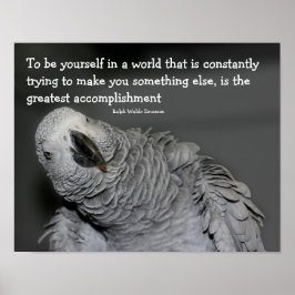 自分の引用文かわいい感動的鸚鵡 ポスター