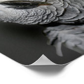 自分の引用文かわいい感動的鸚鵡 ポスター (角)