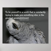 自分の引用文かわいい感動的鸚鵡 ポスター (正面)