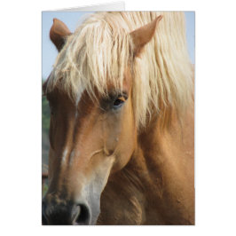 自分の文字を追加！