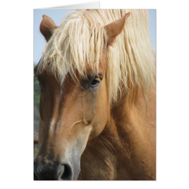 自分の文字を追加！ (正面)