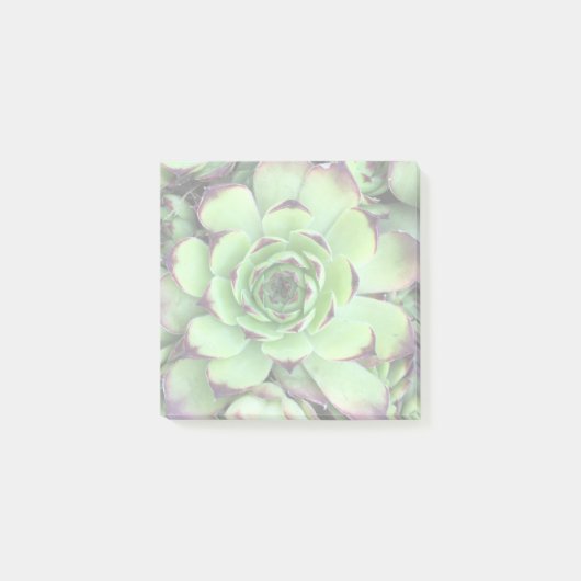 自分の明るい写真を作成 ポストイット (正面)